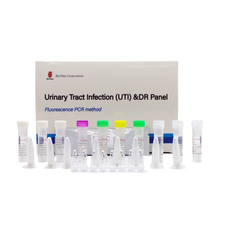 尿路感染症（UTI）&DRパネル（蛍光PCR法） 