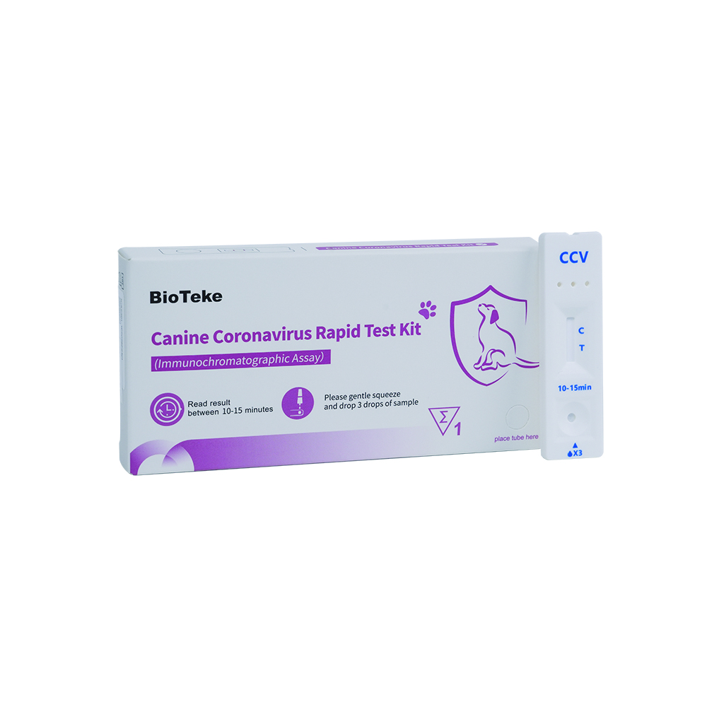 CCV迅速検査