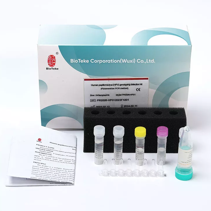 HPV 診断の精度を解き放つ | HPV 33 ジェノタイピング PCR キット