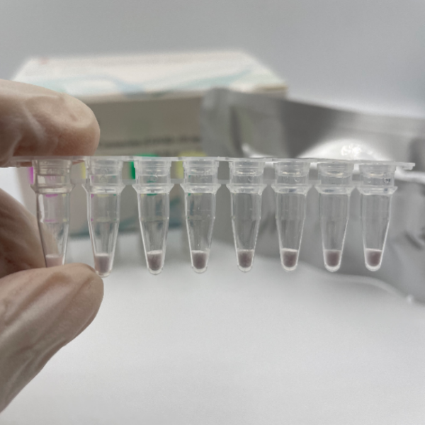 凍結乾燥新規コロナウイルス（COVID-19）核酸検出キット（蛍光PCR法）