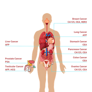 Bioteke Tumour Markers Test Kits.png