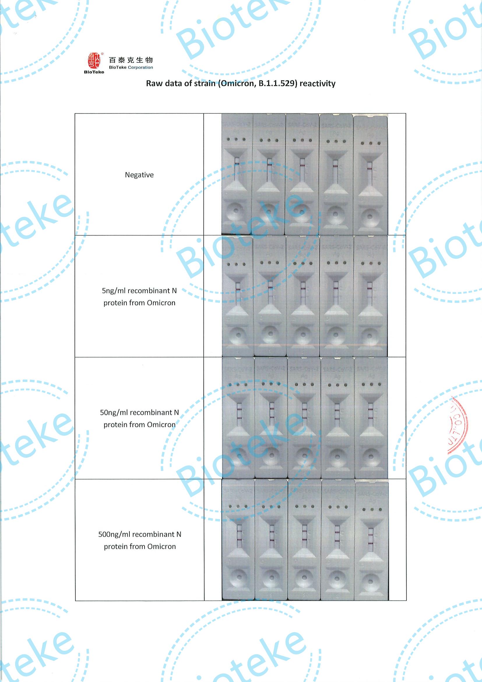 BIOTEKE_SARS-COV-2抗原IVDキットの抗原鼻腔検査評価（OMICRON）Reactivity_03