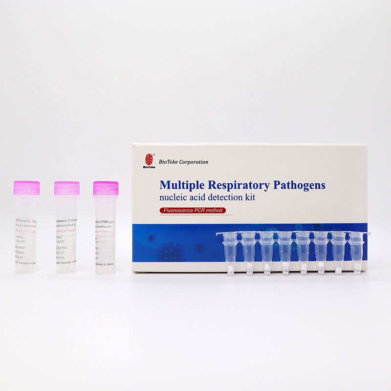 呼吸器系複数病原体 PCR 検査キット